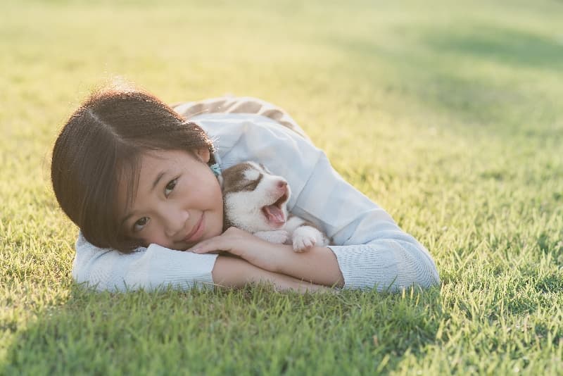 수원유기견센터 입양 대기견 — 실제 보호소 사진 9