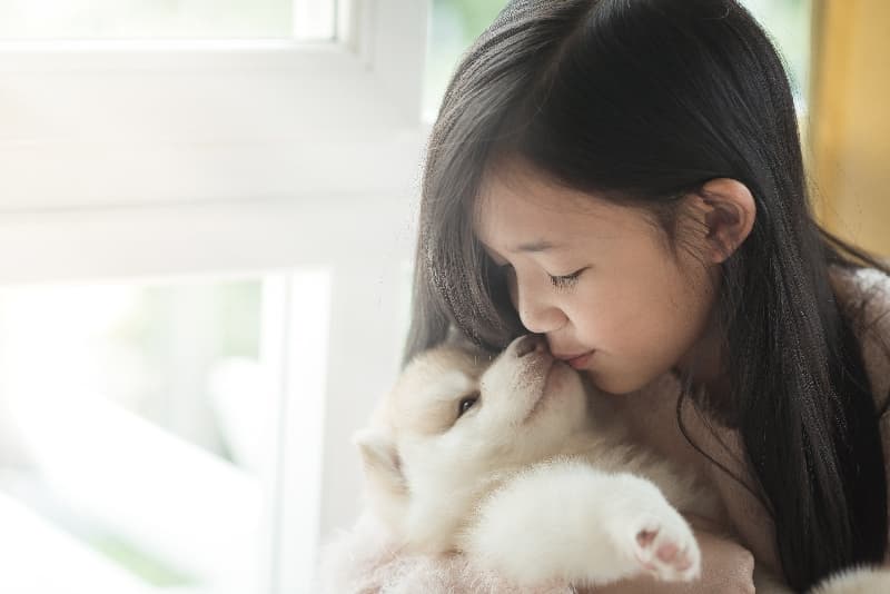 수원유기견보호센터 보호 시설 — 실제 보호소 사진 10